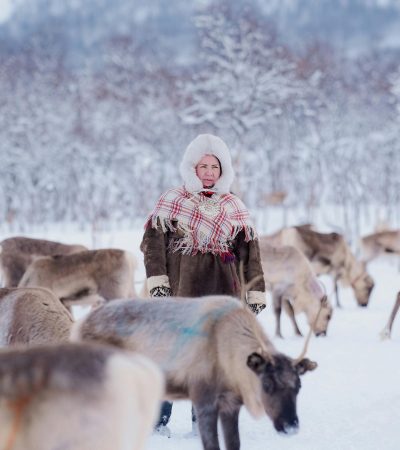 pexels-shojol-30890849